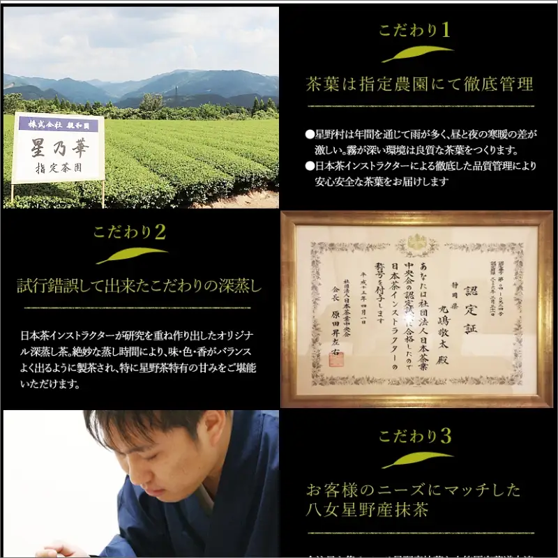 八女星野茶 自家用煎茶詰合わせ 煎茶100g×4袋【A5-273】