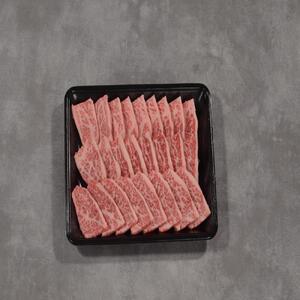 鳥取和牛 おまかせ 定期便 12か月  TB5