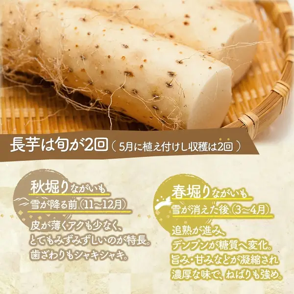 青森県産 冷凍長芋とろろパック 50g×15個　【02402-0321】