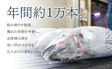 まぐろ専門の老舗問屋からお届け！とろける！上質 天然 本まぐろ 中トロ 1kg 分 M020-012 冷凍 マグロ 【 まぐろ専門の卸問屋です 】