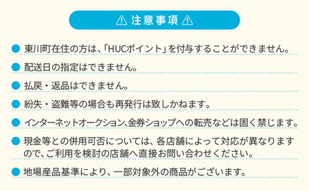 HUCポイント　\15,000分