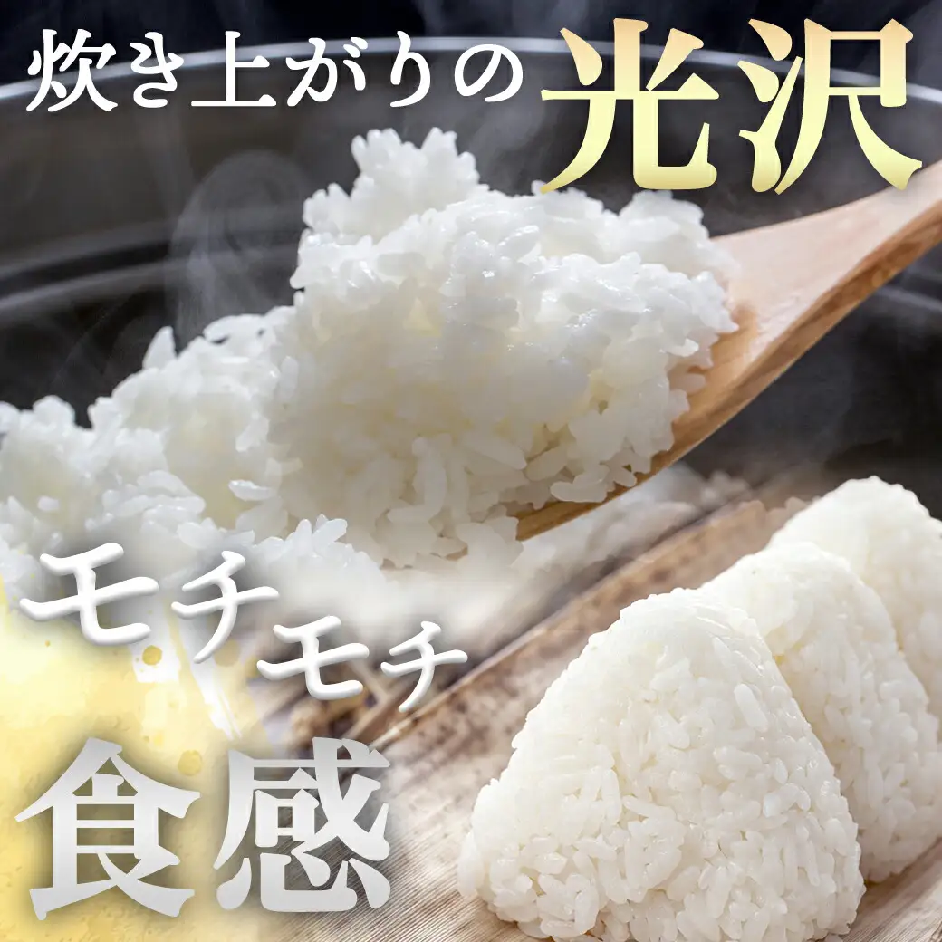 都城産ひのひかり10kg(5kg×2袋)〔24-1502〕_(都城市) 令和7年産 都城産 お米 10kg ひのひかり