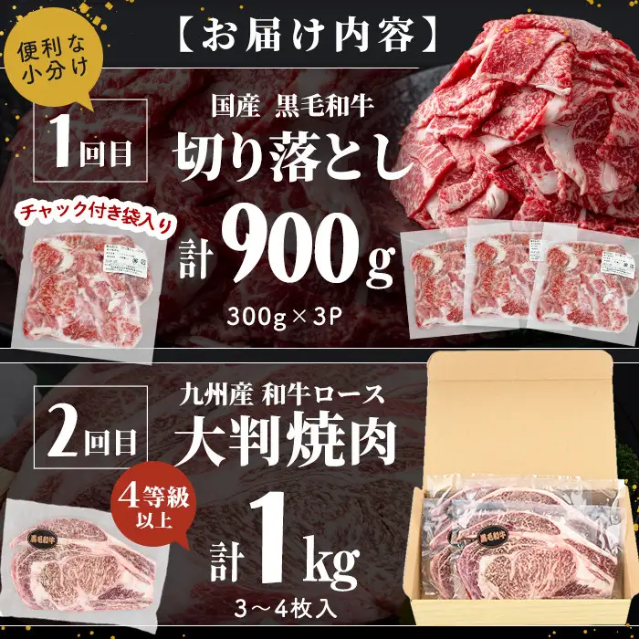 【定期便 全2回】国産 黒毛和牛2種お楽しみ定期便(計1.9kg) 国産 黒毛和牛 切り落とし 4等級 以上 九州産 ロース 大判 焼肉 和牛 牛 牛肉 焼き肉 冷凍 小分け 訳あり 定期便 頒布会 t0030-032