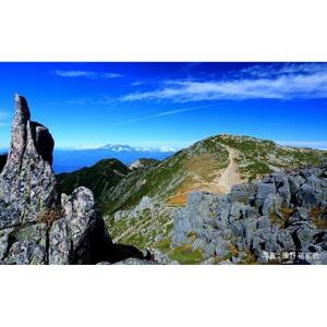 【数量限定】シングルモルト 駒ヶ岳 2024 エディション 700ml（度数50％） 化粧箱入 ウイスキー お酒