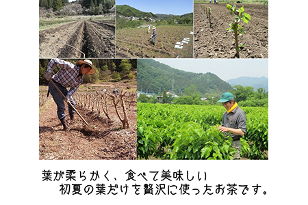 【有機 桑の葉まっ茶】ノンカフェイン プレママ 糖質制限 食物繊維 ダイエット 飲料 オーガニック ハーブティー マルベリー F21K-027