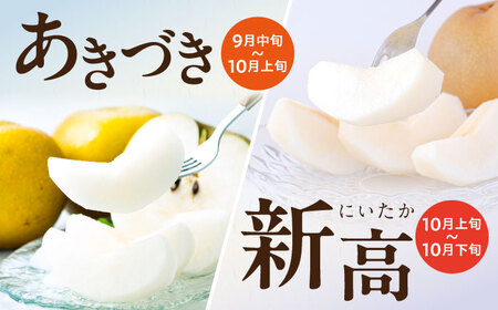 【2026年9月～発送】長崎県産 朝採り旬の梨 約5kg 12玉～15玉 / 梨 ナシ なし フルーツ 果物 / 大村市 / 産直松吉 [ACZC007]