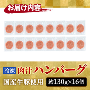 ハンバーグ 国産 合挽き 16個 【ハンバーグ】 【ho1387-1】