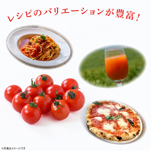 【先行予約★2026年6月～順次発送！】【人気商品】朝採れ あまっこ ミニトマト ３kg 【やさい 野菜 トマト 甘い プチトマト 新鮮 フレッシュ 産地 直送 10000円以下 茨城県 鹿嶋市 】（KAM-31）
