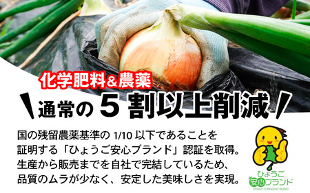 玉ねぎ 5kg 訳あり 淡路島  / 玉ねぎ