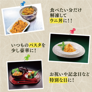 訳あり 半生うに 100g 冷凍 うに
