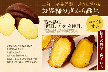 【迷ったらこれ！】三河 芋昇謹製　生蜜芋けんぴ、塩チップス、冷やし焼きいもの３点セット（1601）