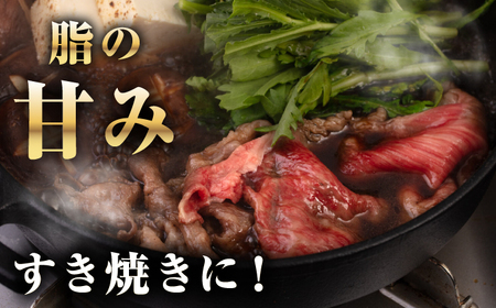【A4~A5ランク】 長崎和牛 肩ロース 切り落とし 300g《壱岐市》【野中精肉店】牛 牛肉 和牛 国産 長崎和牛 霜降り すき焼き すき焼 ロース ギフト 贈答用 冷凍配送 A4 A5 [JGC017]