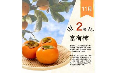 【全3回】紀州和歌山産旬のフルーツ定期便 (いちご・桃・富有柿) 【tkb373】