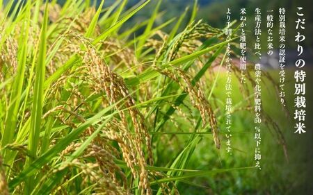 【令和8年産先行予約】【10月初旬発送】平泉町産特別栽培米 ひとめぼれ10kg【mih003A】