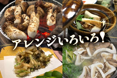 【ふるさと納税】 三田栗 2L (1kg)  三田 松茸 (等級混合約200g)  の詰め合わせ 栗 まつたけ 秋の味覚 きのこ キノコ 旬の野菜 贈答品 贈り物 ギフト 食品 ギフト  ふるさと納税 ふるさと 人気 おすすめ 送料無料 兵庫県 三田市 [3d28bae460003]