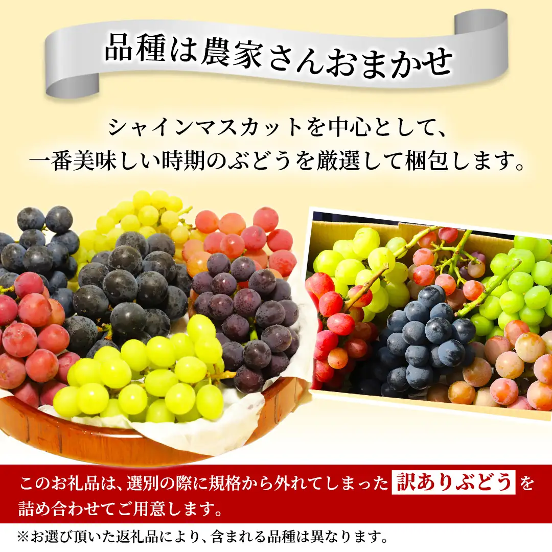 ＼訳あり ご家庭用／大粒ぶどう（種なし）詰合せ 合計 3～5房入 (DM004)