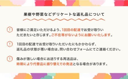 先行予約【楓】全4回フルーツ定期便 2026年産春始まり mm-ft4xx-a