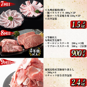 【定期便全12回】牛・豚堪能定期便(12ヶ月連続・計15.7kg超) 黒毛和牛 国産牛 九州産 豚 豚肉 肉 牛肉 国産 4等級 訳あり 小分け 真空包装 冷凍 t0199-001