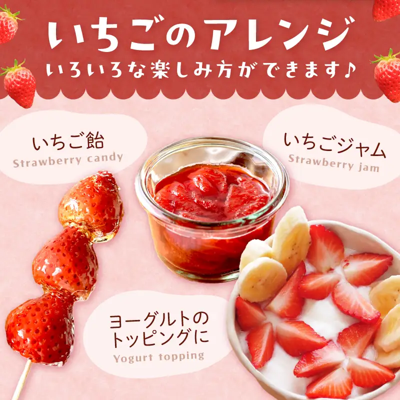 【先行予約】【特選】京都・まつみやファームの大粒いちご（あきひめイチゴ）15～20粒（2027年2月上旬～発送）農家直送 いちご