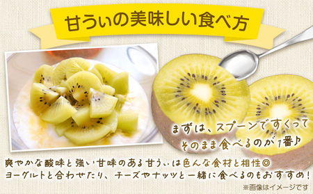 ☆2026年出荷☆☆甘うぃ 約1.4kg 9-20玉前後《10月中旬-11月末頃出荷》福岡県 鞍手郡 鞍手町 キウイフルーツ キウイ 福岡県オリジナル 新品種 甘うぃ 果物 くだもの フルーツ【配送不可地域あり】