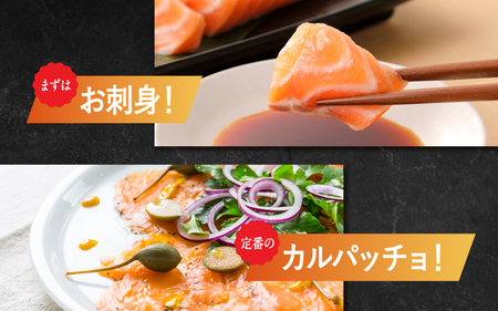 【最速発送】 アトランティックサーモン 450g / サーモン