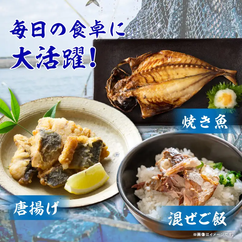 数量限定 山野水産 干物 セット 合計10枚 詰め合わせ 簡単調理 魚 魚介 加工品 食品 惣菜 おかず おつまみ 塩干し みりん干し アジ開き サバ トビウオ ひもの おすすめ 海産物 海鮮 水産加工品 ギフト 国産 宮崎県 日南市 送料無料_B232-24
