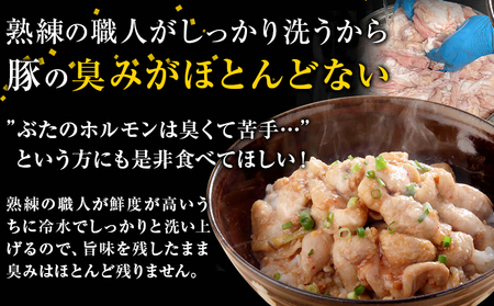 豚ホルモン とんちゃん 1.2kg (400×3袋) 独楽 送料無料《30日以内に出荷予定(土日祝除く)》 福岡県 鞍手郡 鞍手町 豚 ホルモン