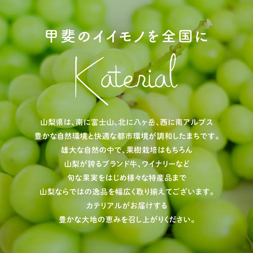 【訳アリ】【定期便】粒 シャインマスカット 約1.0㎏×3回 山梨シャインマスカット