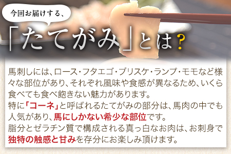 馬刺し 上赤身 ブロック 国産 熊本肥育 冷凍 生食用 たれ付き(100g×2)＋たてがみセット(50g×1) 《90日以内に出荷予定(土日祝除く)》肉  絶品 牛肉よりヘルシー 馬肉 予約 平成27年28年 農林水産大臣賞受賞 熊本県玉東町 ｜人気馬刺し  人気返礼品 熊本馬刺し ブランド馬刺し