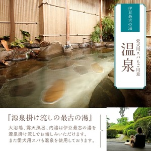 修善寺温泉 修善寺絆＋ 愛犬と一緒にお泊り 商品券 60,000円分 【静岡県 伊豆市 温泉 温泉宿 宿泊券 宿泊 旅行 旅行クーポン 商品券 補助券 ペット ホテル お泊り ペット 愛犬 犬 いぬ イヌ 家族 ファミリー 友達 友人 カップル 夫婦 宿泊券 補助券 チケット 利用券 贅沢 旅行 家族旅行 卒業旅行 記念旅行 記念日 お祝い 誕生日 卒業 結婚 還暦 ご褒美 】20-011