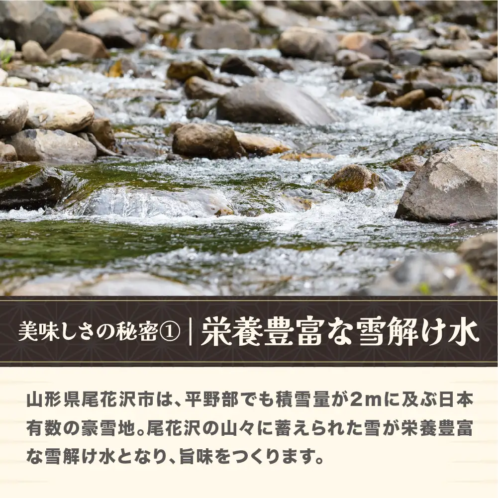 新米 令和8年産 玄米 特別栽培米 つや姫 30kg ja-tsgtb30
