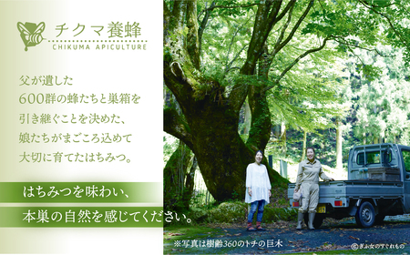 [ 国産はちみつ ] とち蜜 500g 大容量 瓶 国産 トチ 常温 純粋 はちみつ ハチミツ 蜂蜜 ハニー 送料無料 女性養蜂家 チクマ養蜂 朝食 パン トースト ヨーグルト ランキング 人気 ギフト 岐阜県産 16000円 [mt1585]