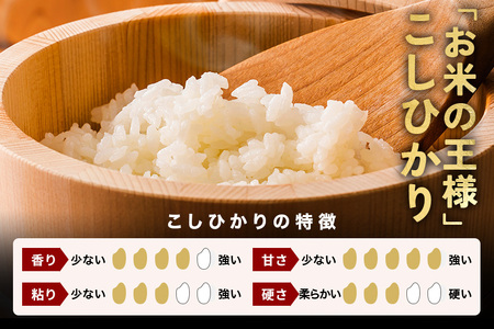【3ヶ月 定期便 】令和7年産 コシヒカリ 10kg (5kg×2袋) 計30kg FH-008 