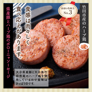 大満足2.28kg!おおいた味力ソーセージセット_1307R