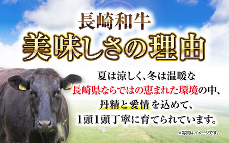 【全6回定期便】【訳あり】【A4~A5ランク】長崎和牛 切り落とし 1kg(500g×2パック）《壱岐市》【株式会社MEAT PLUS】 肉 牛肉 黒毛和牛 焼き肉 ご褒美 冷凍配送 訳あり A5 黒毛和牛 ギフト [JGH041]