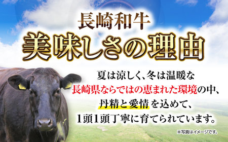 【全2回定期便】【A4～A5ランク】長崎和牛焼肉用　500g《壱岐市》【株式会社MEAT PLUS】肉 牛肉 黒毛和牛 焼き肉 焼肉 焼肉用 ギフト 贈答用 ご褒美 冷凍配送 A4 A5 [JGH107]