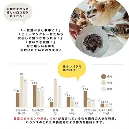 【毎月定期便】食いつき抜群!天然鹿肉GOOD MEAL ONE! 鹿肉ジャーキー 全6回【4011640】