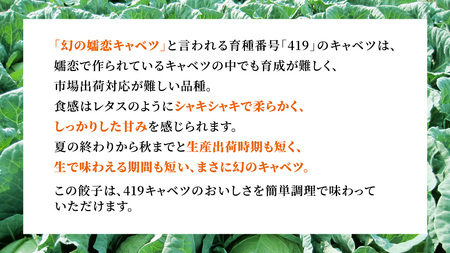 まぼろしのキャベツ419使用 ザ・羽生田餃子 15個 × 2パック 合計30個 大容量 [AL001tu]