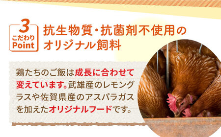 【3回定期便】あっぱれ卵 24個 /いとう養鶏場 [UAQ009] 卵 たまご 鶏卵
