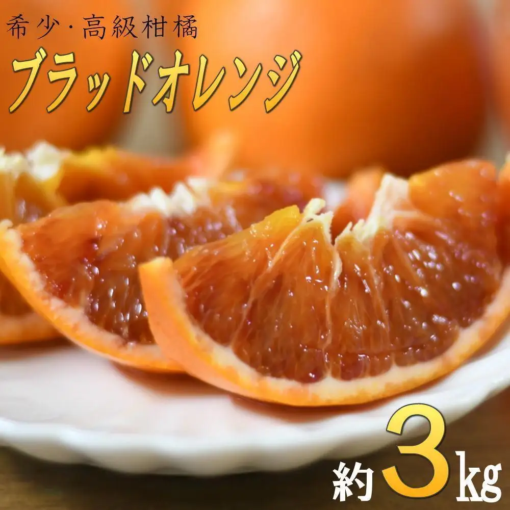 定期便全3回 【2月・3月・4月発送】 和歌山の春の柑橘 （ポンカン・はるか・ブラッドオレンジ）秀品【TM173】