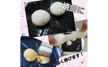 丸餅約700g(16個)1個約40g～45g【無添加】【つき餅】お祝い お供え 自宅用 ※着日指定不可 ※離島への配送不可