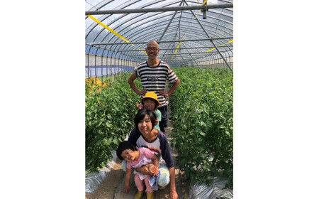 ドライトマト 40g｜旨味凝縮（約15〜20倍）久万高原町産 桃太郎トマト使用｜升田農園 おつまみ 料理用 ※2026年7月～発送