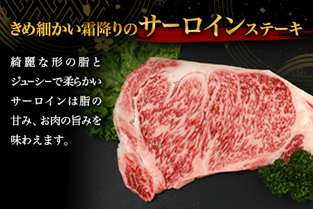 宮崎牛 サーロインステーキ 200g 宮崎牛 和牛 黒毛和牛 牛肉 肉 サーロイン ステーキ ステーキ肉 精肉 TK-87