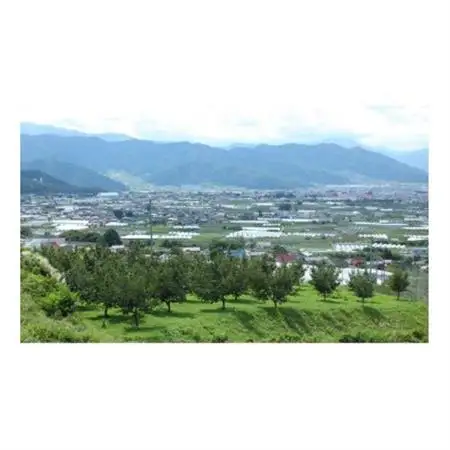 【2026年発送】フルーツ王国　長野県産 りんご　紅玉(こうぎょく)　約10kg(20～30玉程度)【1541926】