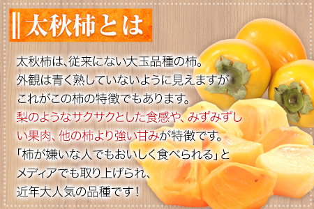『緑伸園』の大玉 夕焼け太秋柿 約2.5kg 4-7玉前後 《11月上旬-12月上旬頃出荷》 予約受付中 フルーツ 秋 旬 柿 ★大きく綺麗な秋の夕日のような色と形★ 