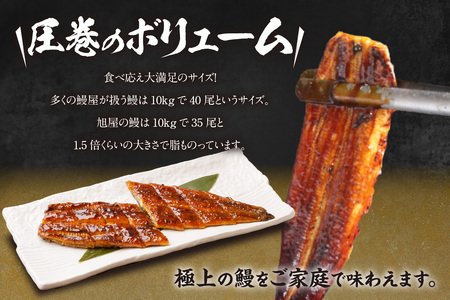 国産特大うなぎ長焼き１尾(約２００ｇ)（1662）