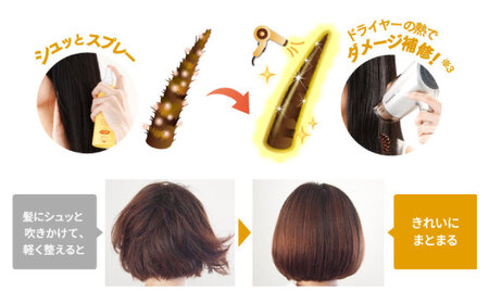 【2本入】リシリッチ 利尻ヘアミスト 糸島市 / 株式会社ピュール ヘアケア ヘアミスト [AZA143]