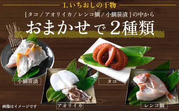 敦賀の「干物詰め合わせセット」[051-a011] 