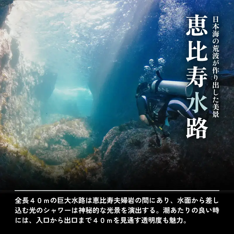 利用券 15,000円分 越前海岸国定公園 『海辺の小さな手作りリゾート ECHIZEN LOG（えちぜんログ）』絶景日本海！越前の海を楽しむ マリンアクティビティ 体験・宿泊・飲食 福井県 越前町【 2年間 有効期限 ダイビング マリン カヤック サップ RV 車 パーク ウミウシ 体験 宿泊 越前かに 券 海の幸 カニ料理 蟹 魚介 かに 蟹 海産物 満腹グルメ 】 [e33-e001]