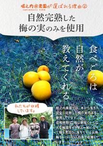 2587 ＜訳あり＞ つぶれ梅 梅干し かのや南高梅 食べ比べ E  （はちみつ梅・しそ梅・レモン風味） 3種類 ×各3袋 KN033-007-02
